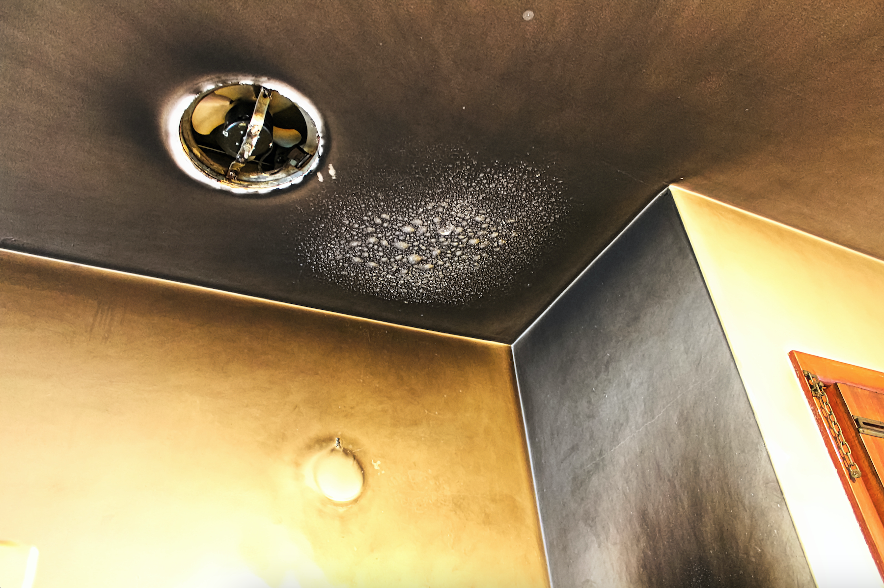 Screen Shot 2024-07-16 at 10.17.56 AM