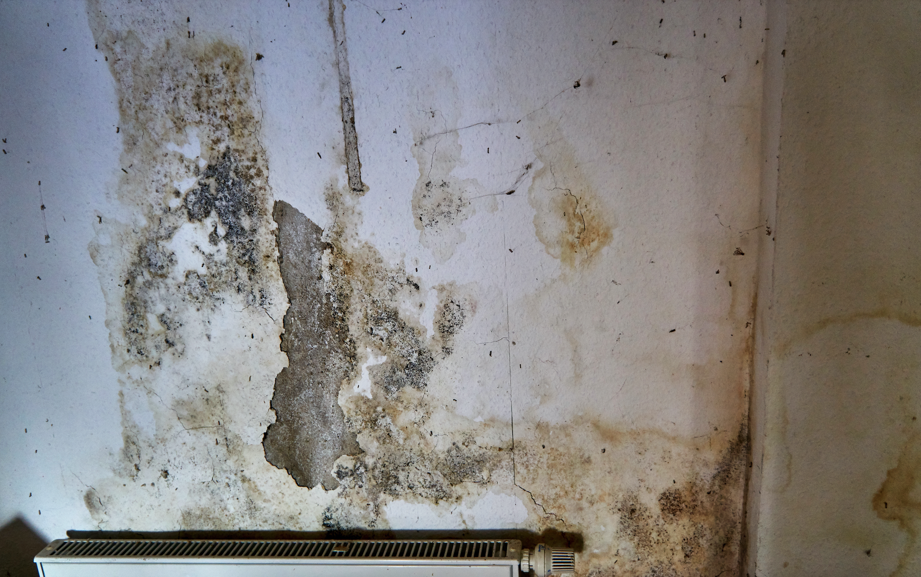 Screen Shot 2024-07-16 at 12.10.57 PM