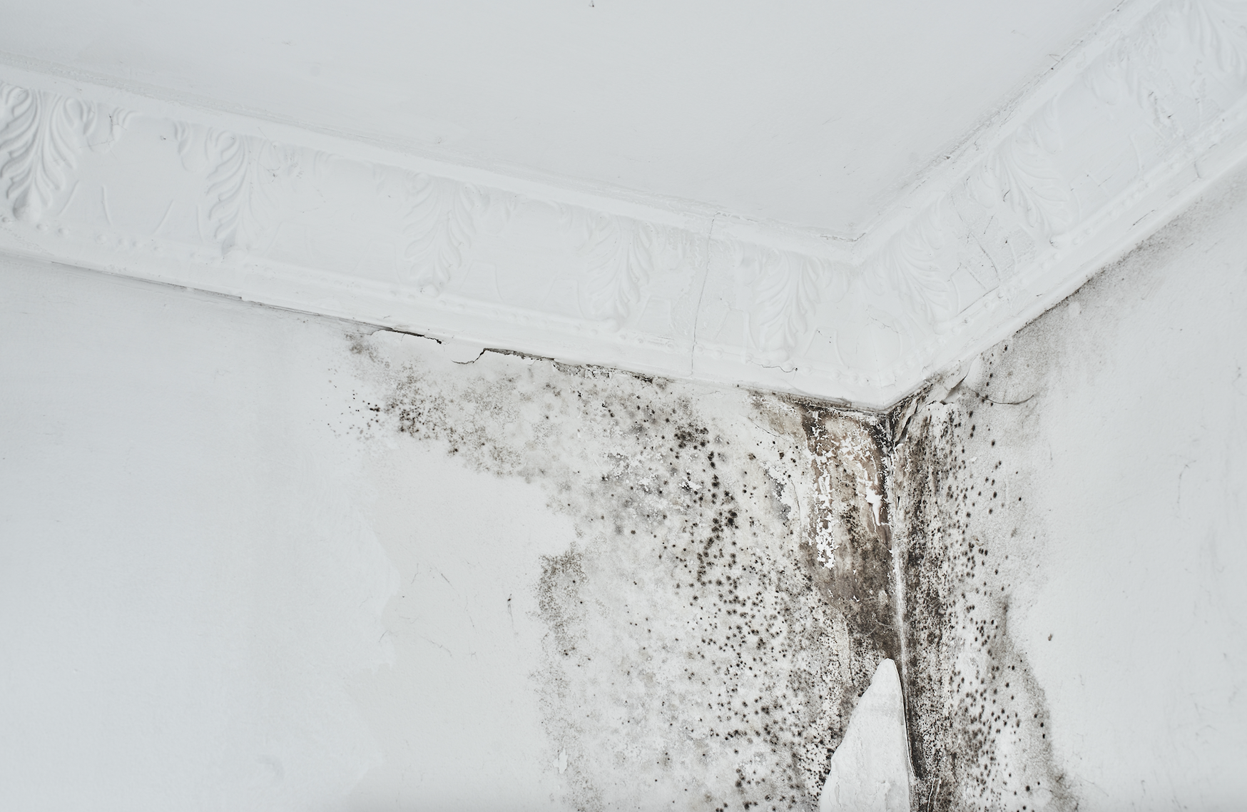 Screen Shot 2024-07-16 at 12.11.43 PM