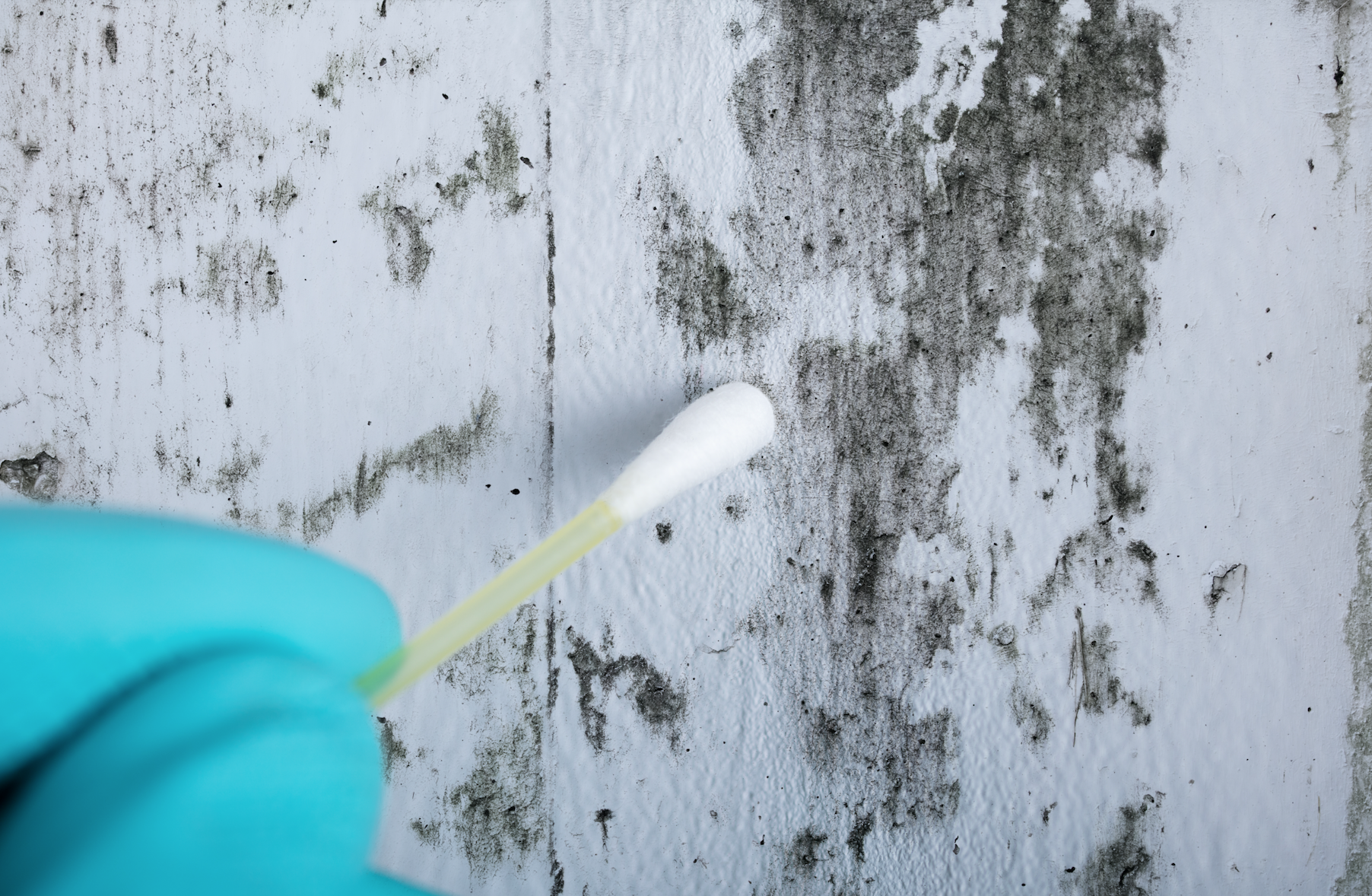 Screen Shot 2024-07-25 at 11.53.40 AM